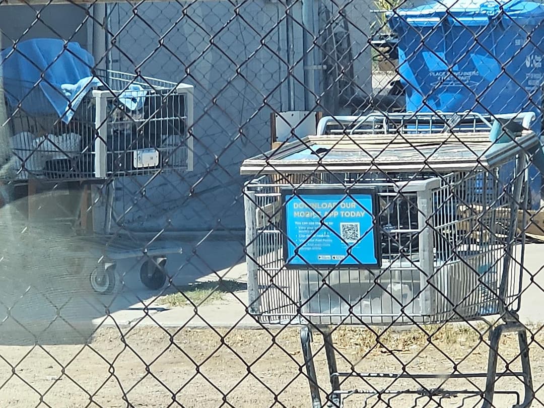 image of a shopping cart leaning against a backyard fence